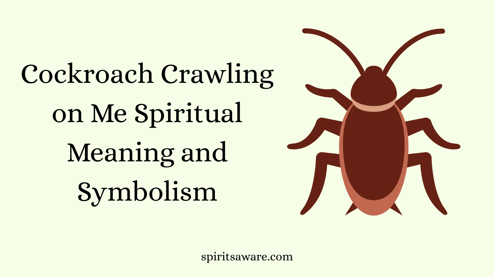 Cockroach Crawling on Me Spiritual Meaning and Symbolism