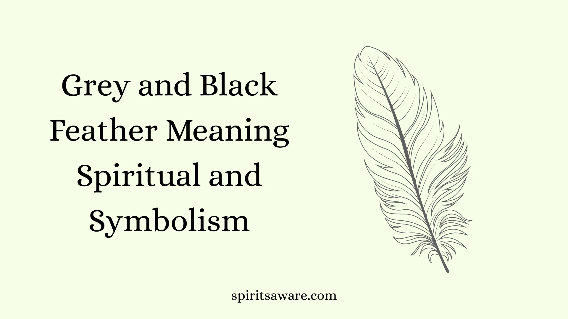 Grey and Black Feather Meaning Spiritual and Symbolism