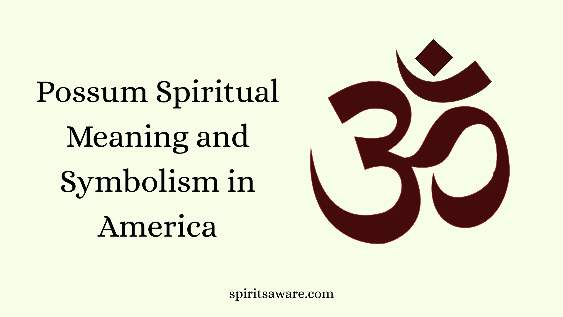 Possum Spiritual Meaning and Symbolism in America