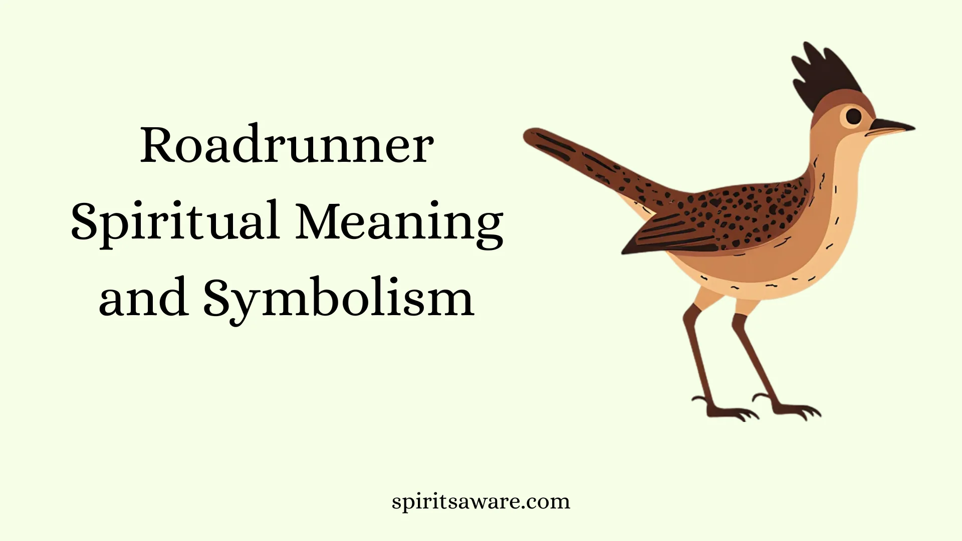 Roadrunner Spiritual Meaning and Symbolism