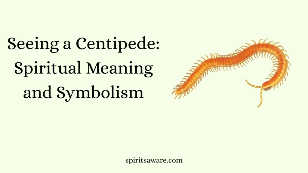 Seeing a Centipede
