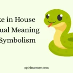 Snake in House Spiritual Meaning and Symbolism