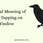 Spiritual Meaning of Crow Tapping on Window