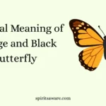 Spiritual Meaning of Orange and Black Butterfly