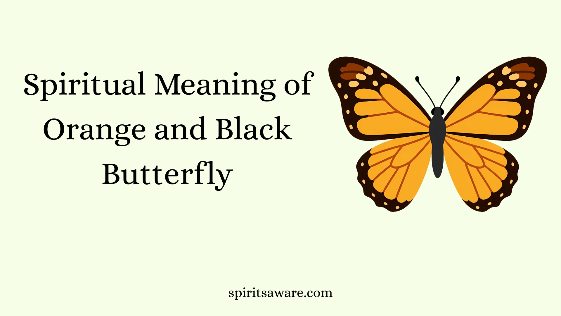 Spiritual Meaning of Orange and Black Butterfly