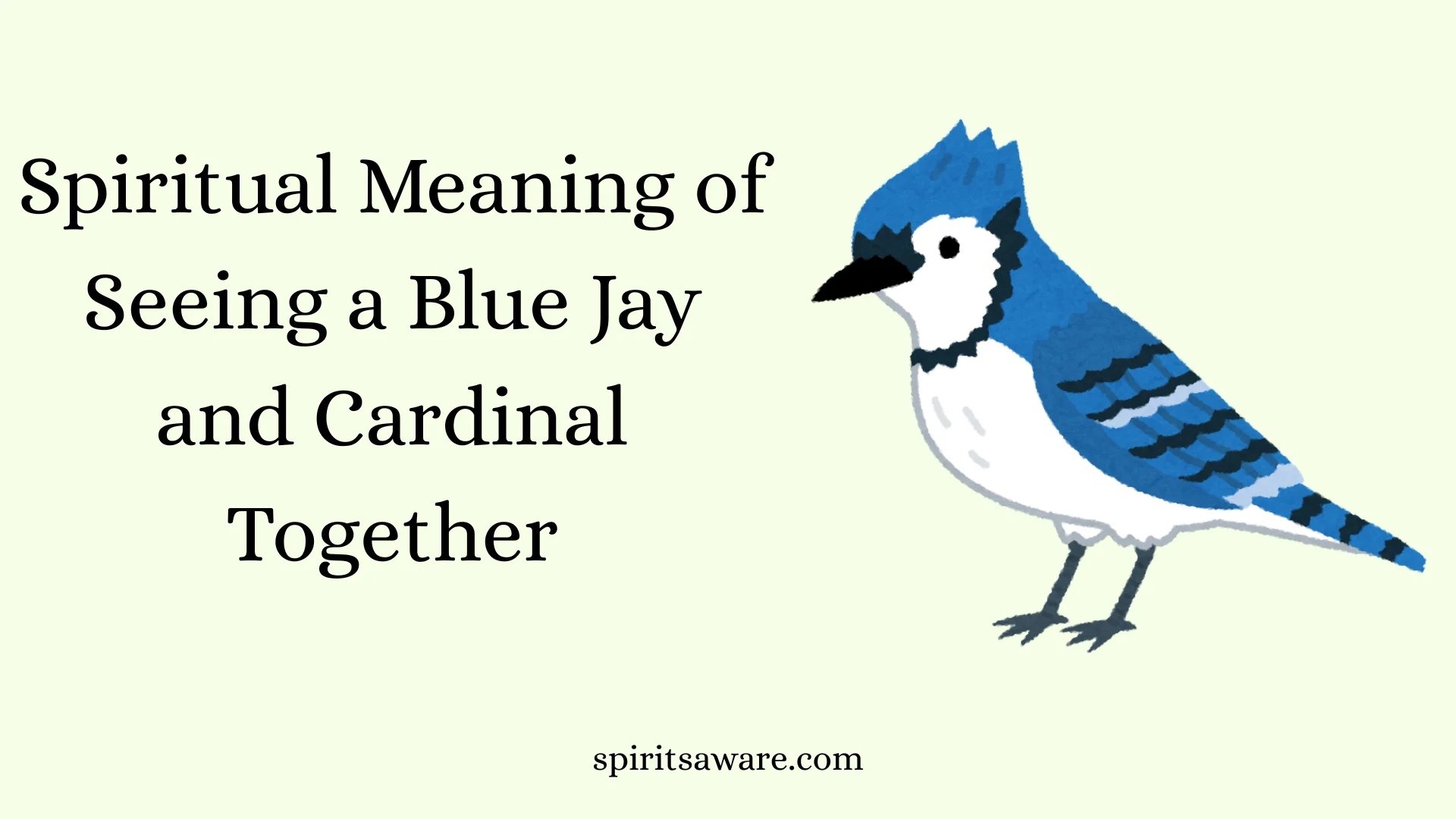 Spiritual Meaning of Seeing a Blue Jay and Cardinal Together