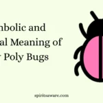 Symbolic and Spiritual Meaning of Roly Poly Bugs