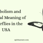 Symbolism and Spiritual Meaning of Butterflies in the USA