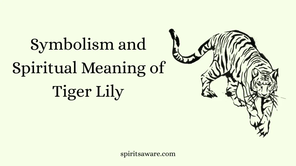 Symbolism and Spiritual Meaning of Tiger Lily