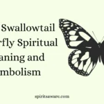 Tiger Swallowtail Butterfly Spiritual Meaning and Symbolism