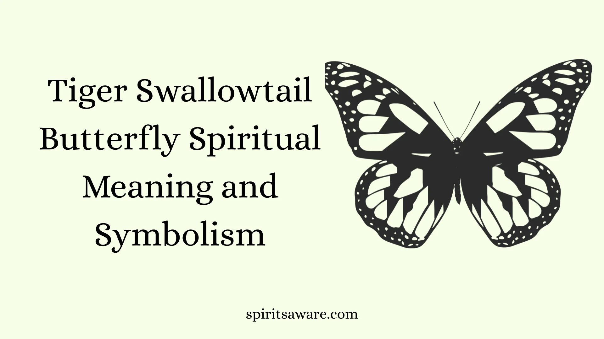 Tiger Swallowtail Butterfly Spiritual Meaning and Symbolism