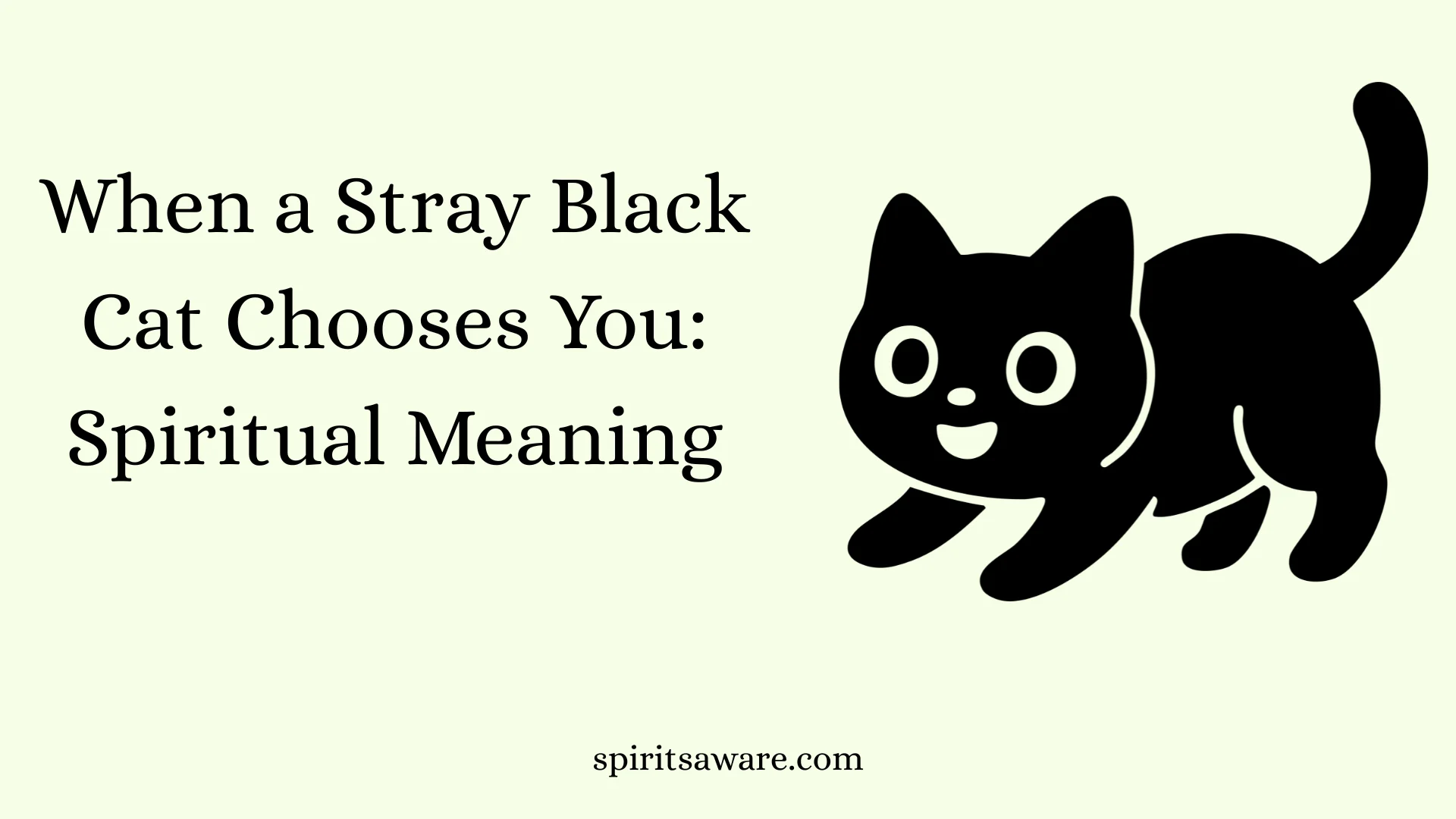 When a Stray Black Cat Chooses You