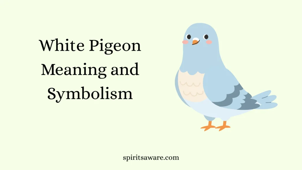 White Pigeon Meaning and Symbolism