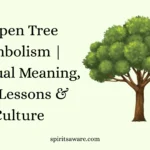  Aspen Tree Symbolism