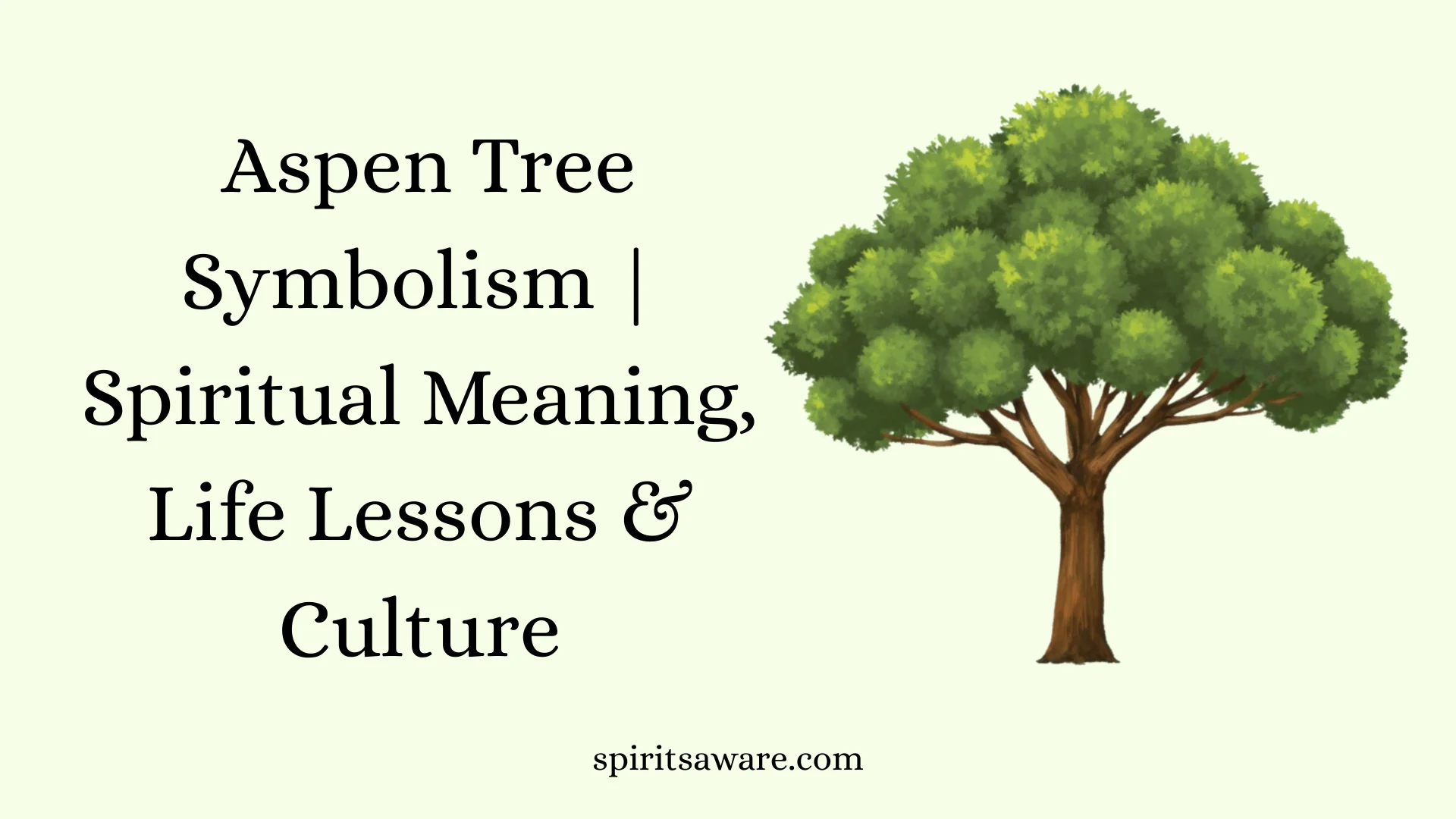  Aspen Tree Symbolism