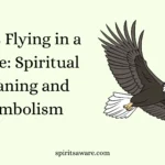 Birds Flying in a Circle