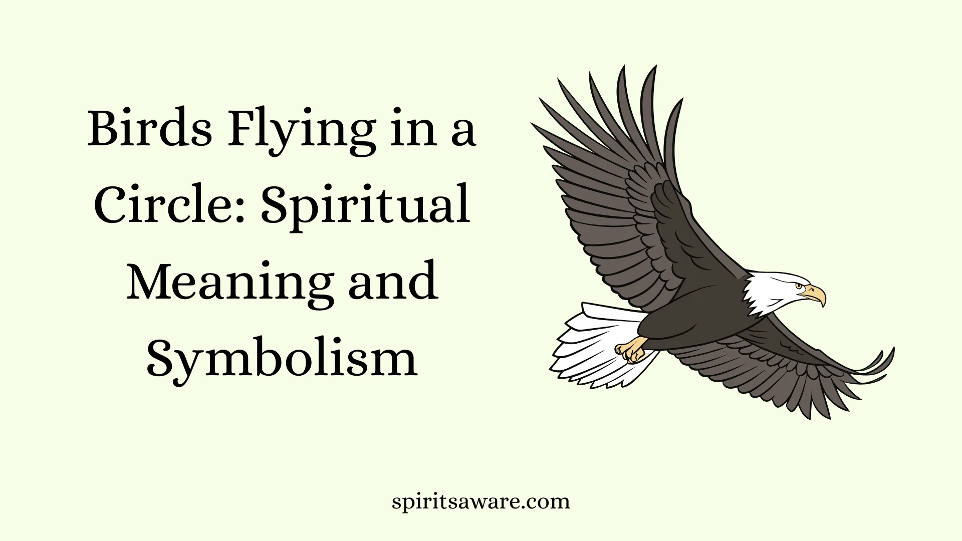 Birds Flying in a Circle