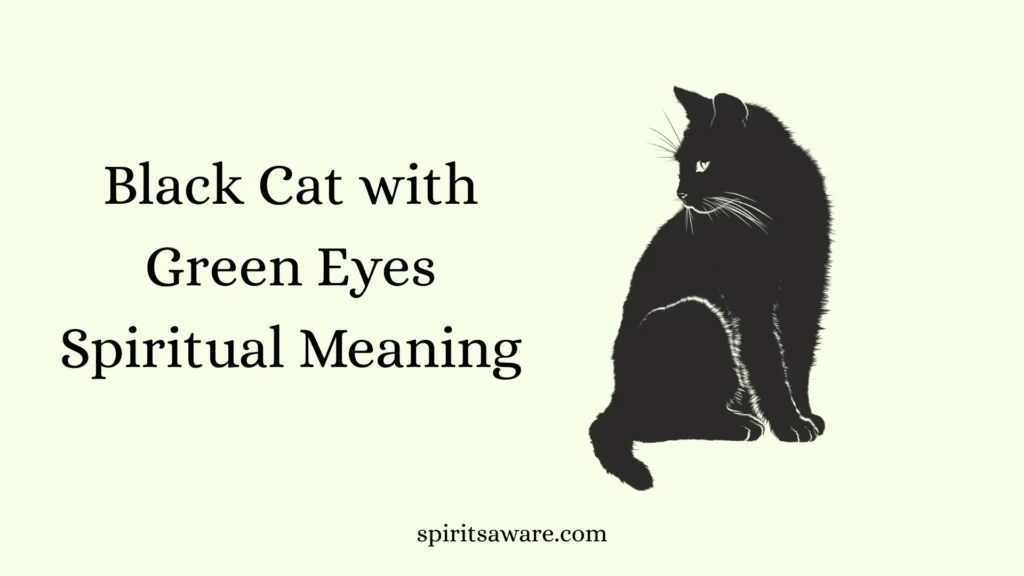 Black Cat with Green Eyes Spiritual Meaning