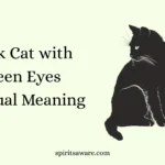 Black Cat with Green Eyes Spiritual Meaning