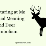 Deer Staring at Me Spiritual Meaning and Deer Symbolism
