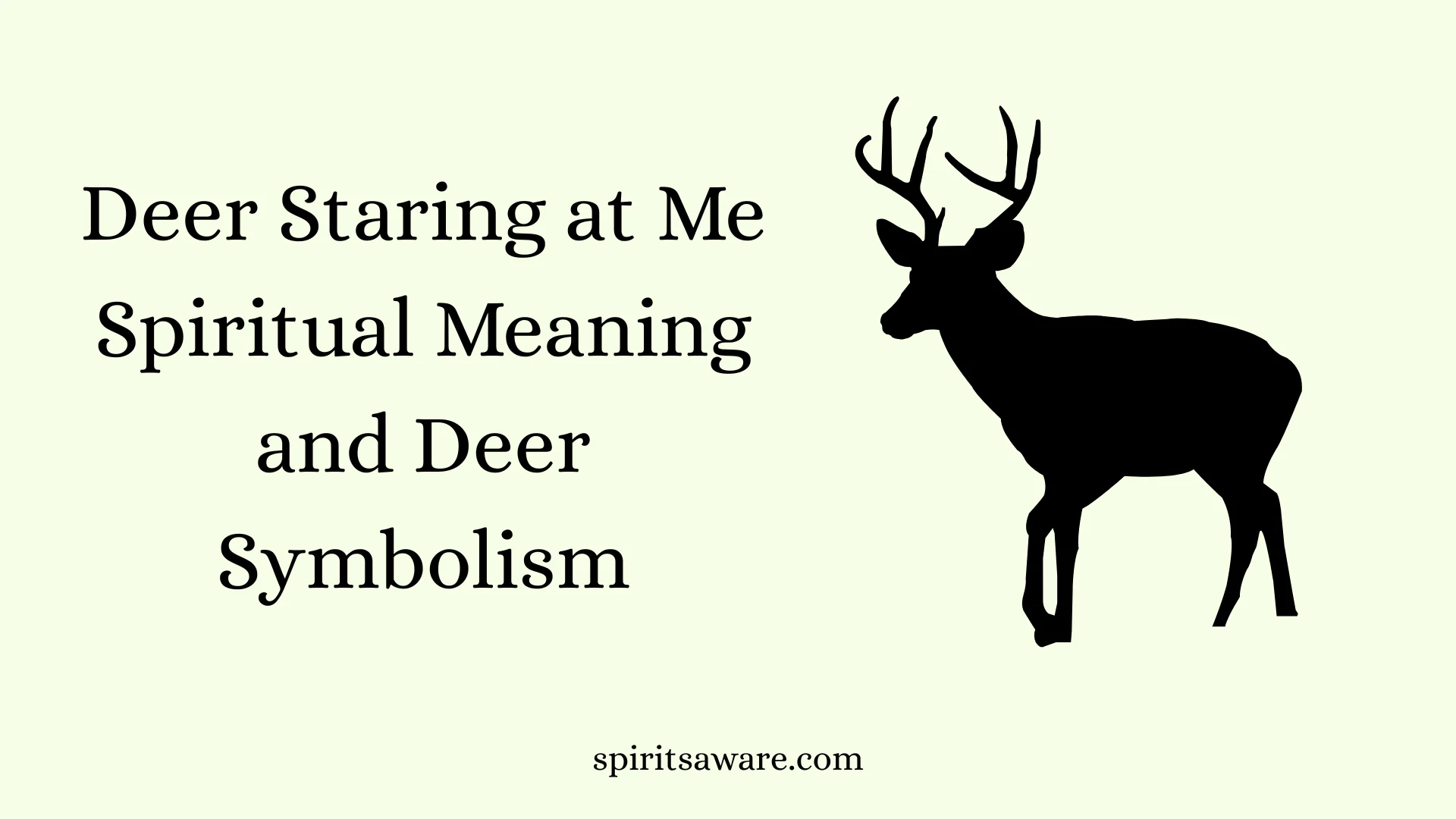 Deer Staring at Me Spiritual Meaning and Deer Symbolism