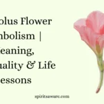 Gladiolus Flower Symbolism