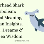 Hammerhead Shark Symbolism