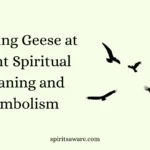 Hearing Geese at Night Spiritual Meaning and Symbolism