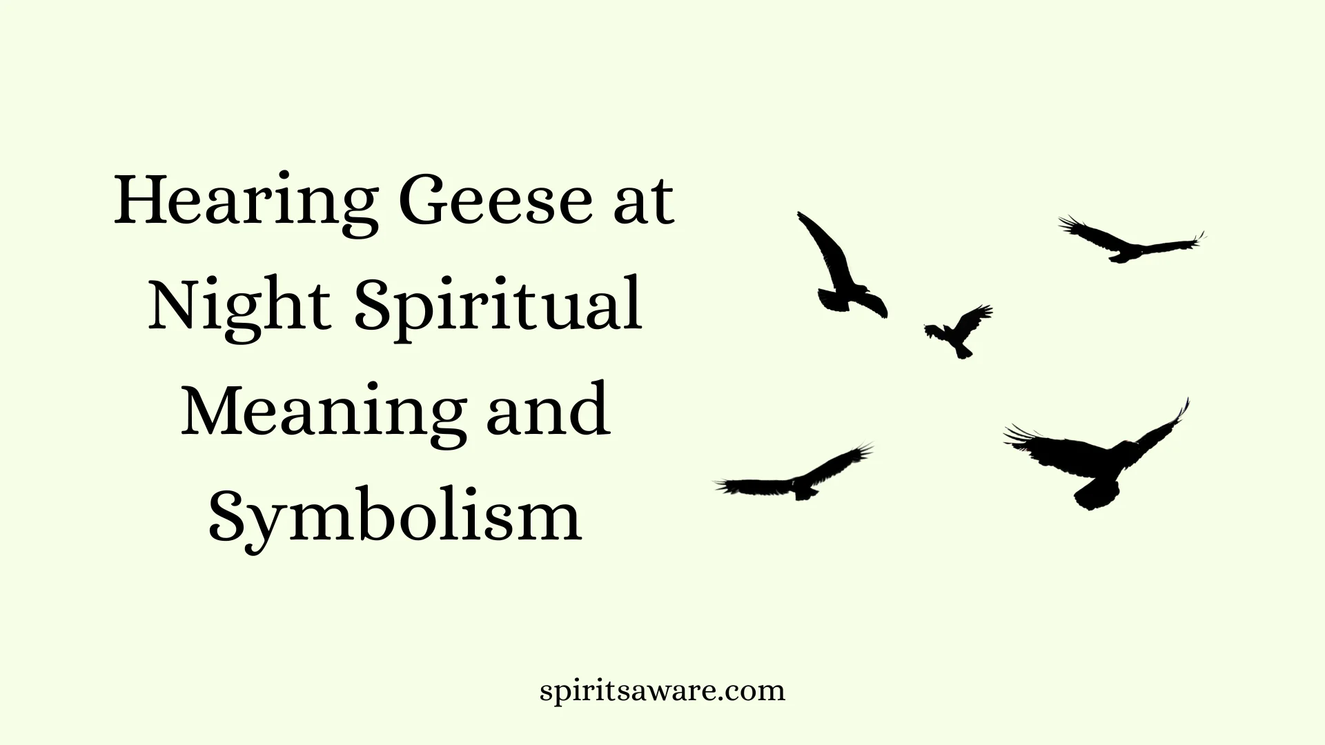 Hearing Geese at Night Spiritual Meaning and Symbolism