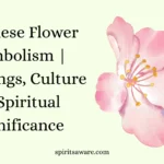 Japanese Flower Symbolism