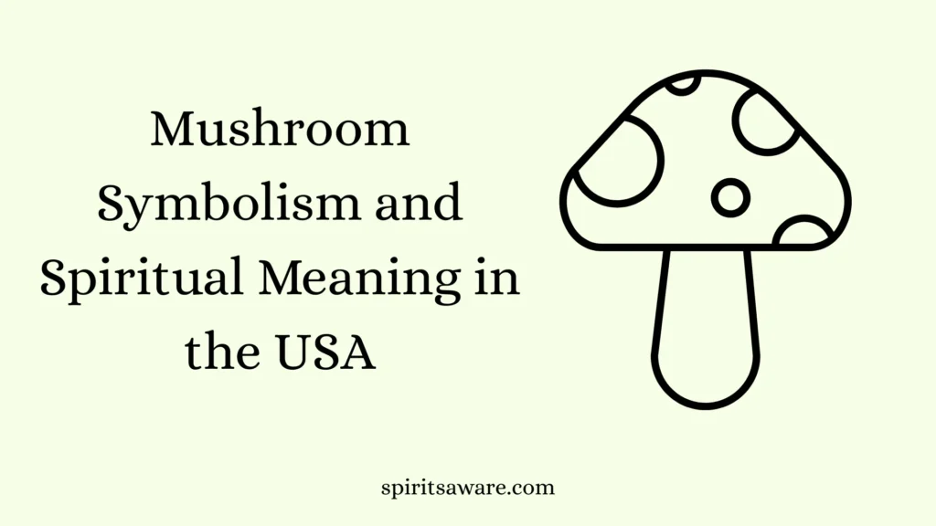 Mushroom Symbolism and Spiritual Meaning in the USA
