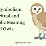 Owl Symbolism