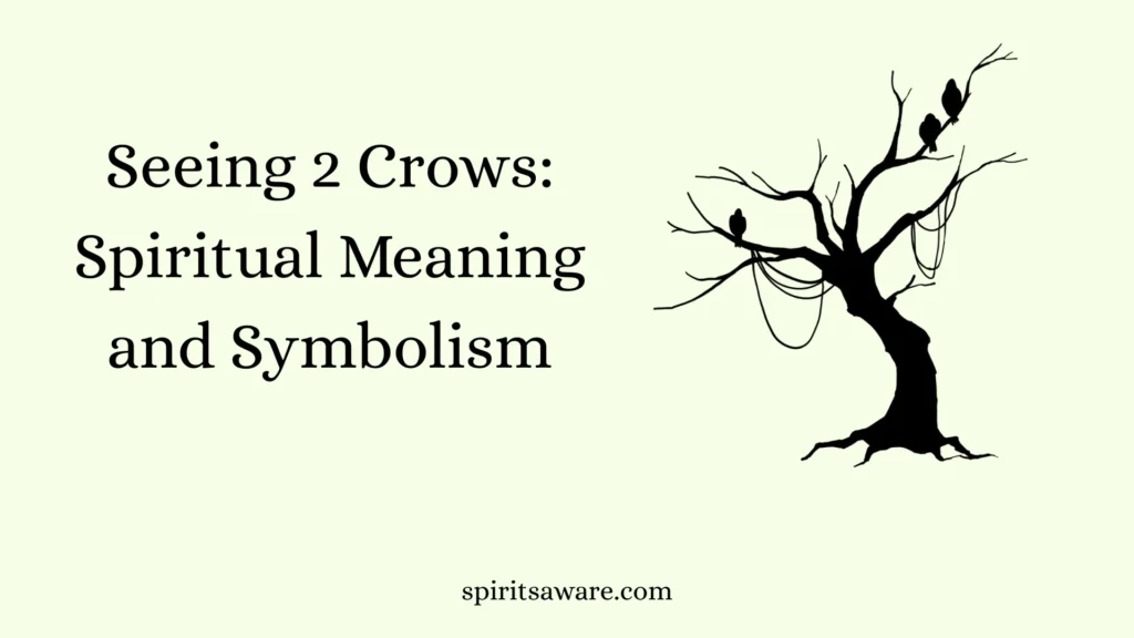 Seeing 2 Crows
