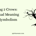 Seeing 2 Crows