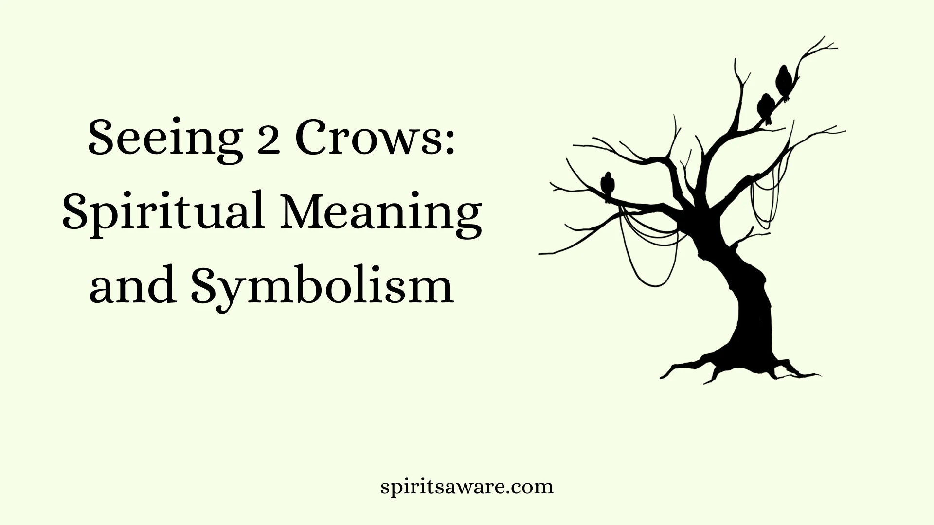 Seeing 2 Crows