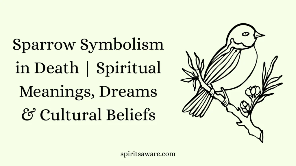 Sparrow Symbolism in Death