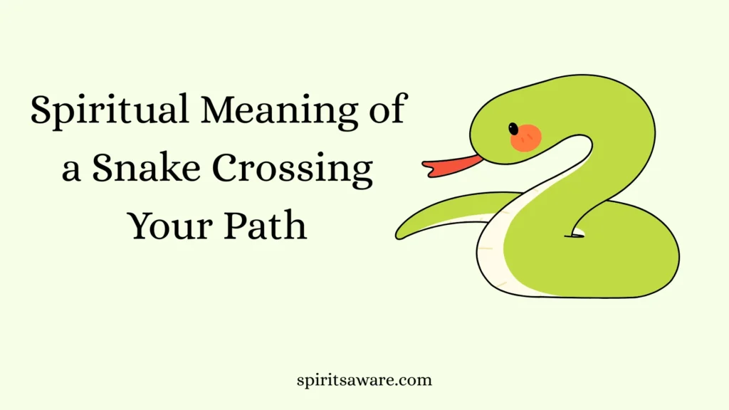 Spiritual Meaning of a Snake Crossing Your Path