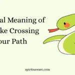 Spiritual Meaning of a Snake Crossing Your Path