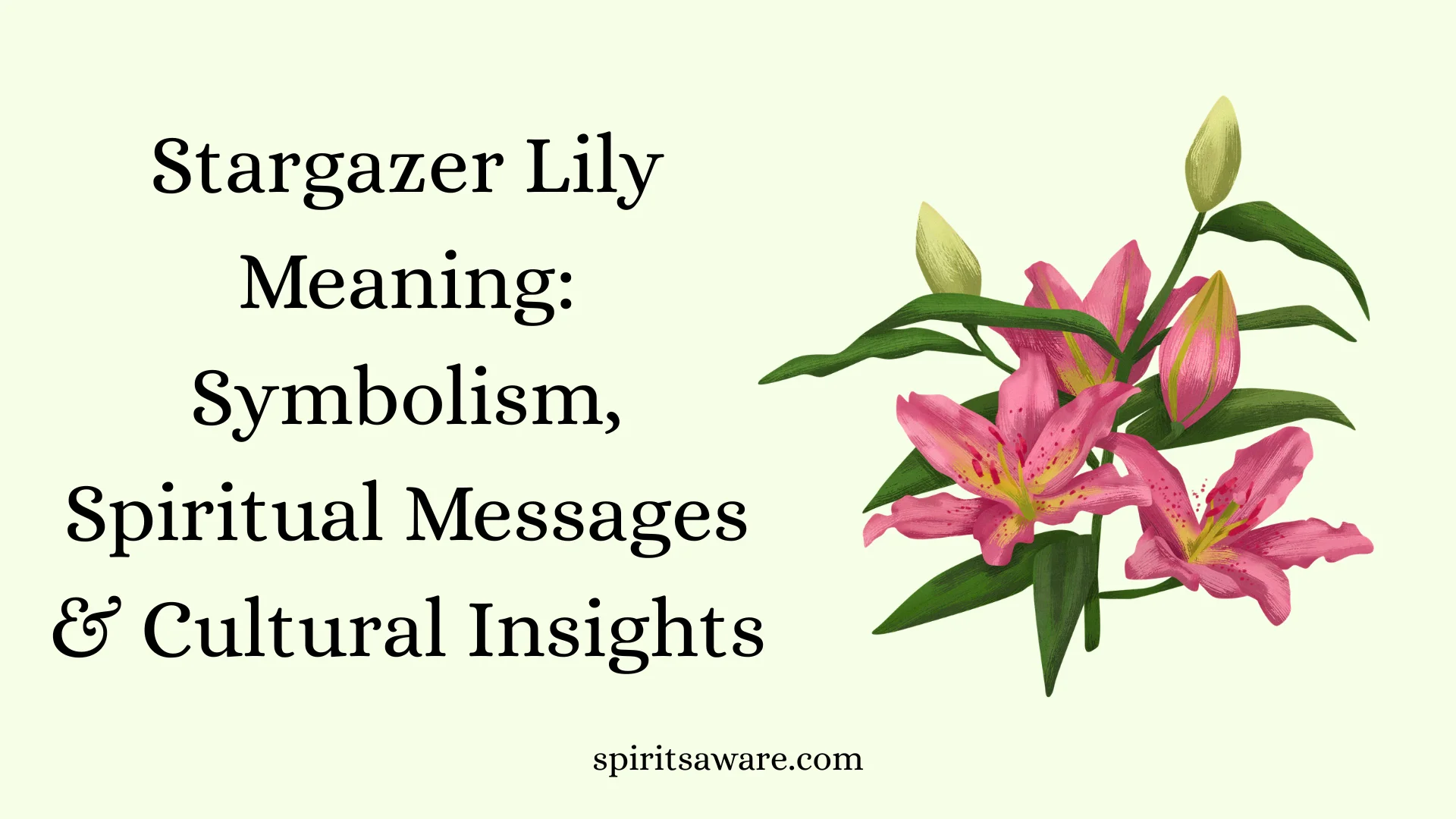 Stargazer Lily Meaning