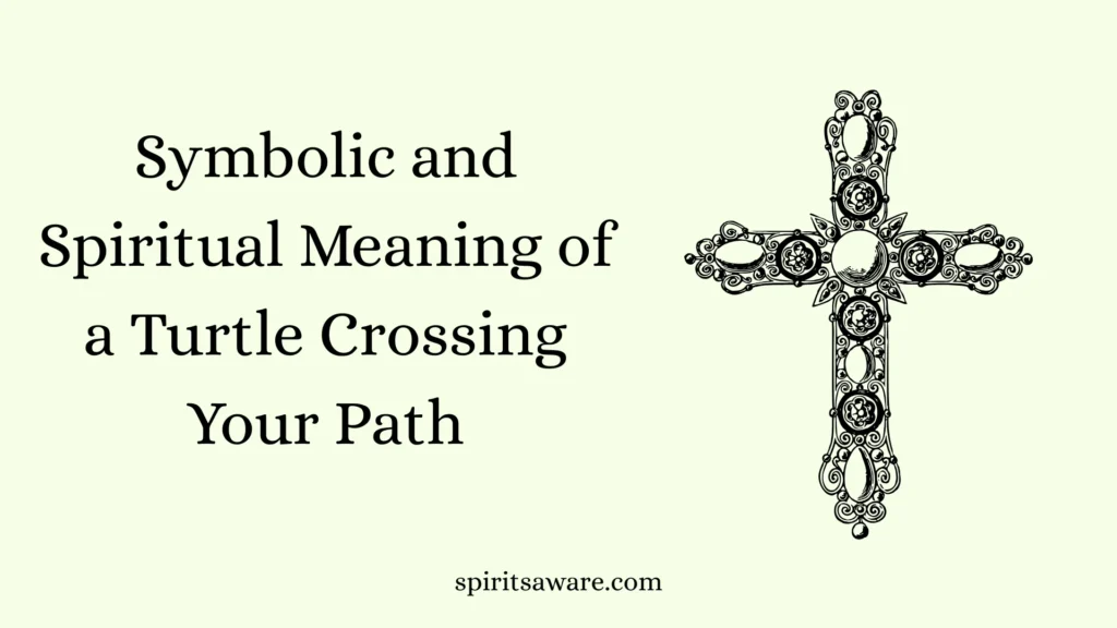 Symbolic and Spiritual Meaning of a Turtle Crossing Your Path