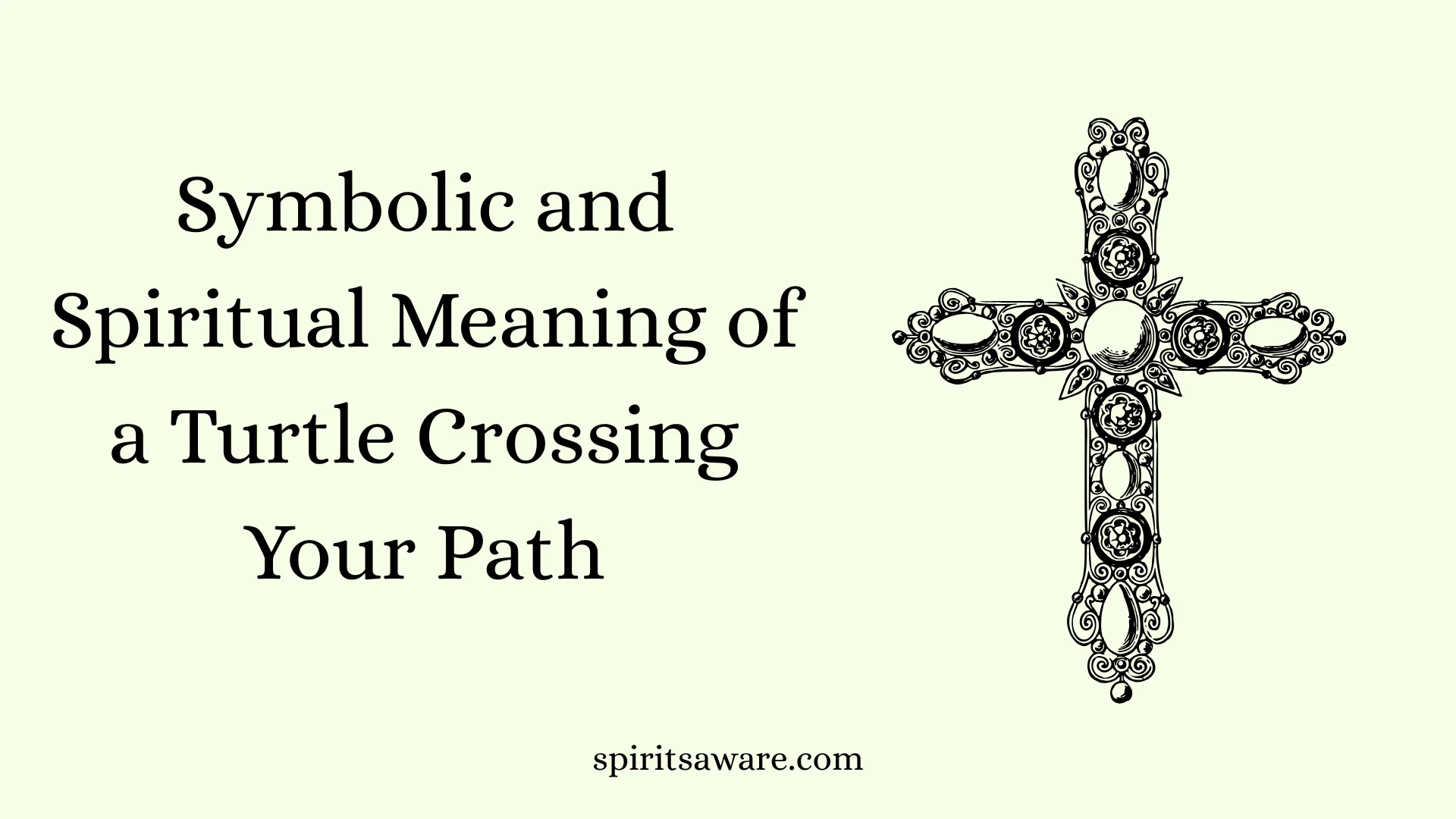 Symbolic and Spiritual Meaning of a Turtle Crossing Your Path