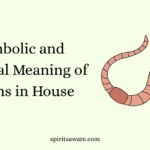 Symbolic and Spiritual Meaning of Worms in House