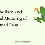 Symbolism and Spiritual Meaning of a Dead Frog