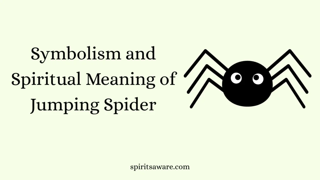 Symbolism and Spiritual Meaning of Jumping Spider