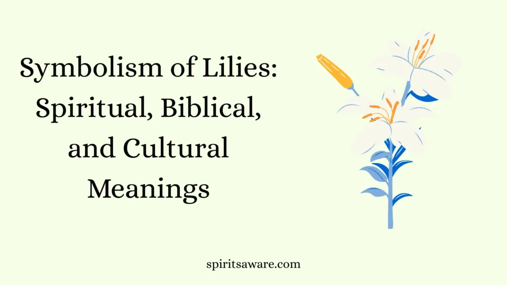 Symbolism of Lilies