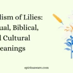 Symbolism of Lilies