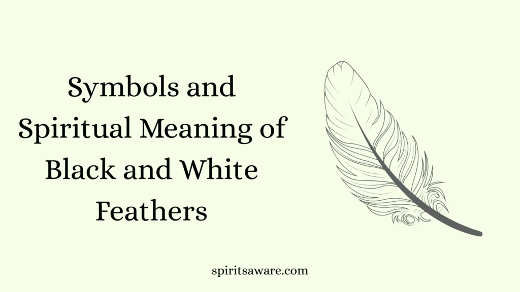 Symbols and Spiritual Meaning of Black and White Feathers