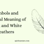Symbols and Spiritual Meaning of Black and White Feathers