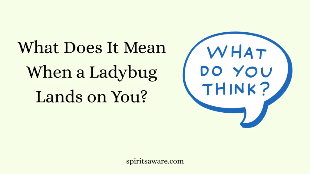 What Does It Mean When a Ladybug Lands on You?
