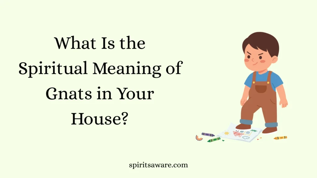 What Is the Spiritual Meaning of Gnats in Your House?